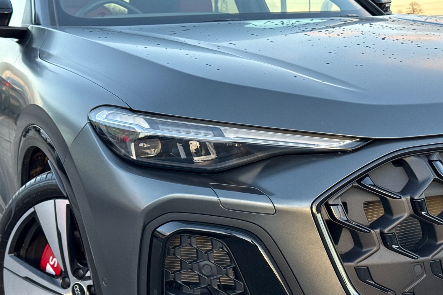 Used Audi Q5 2025 for sale - 77093637: Photo 8