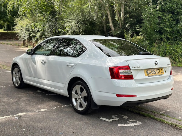 Used Skoda Octavia 2017 for sale - 75127520: Photo 5