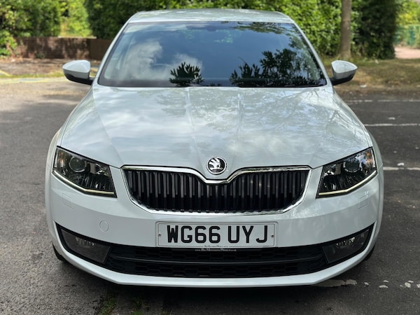 Used Skoda Octavia 2017 for sale - 75127520: Photo 8