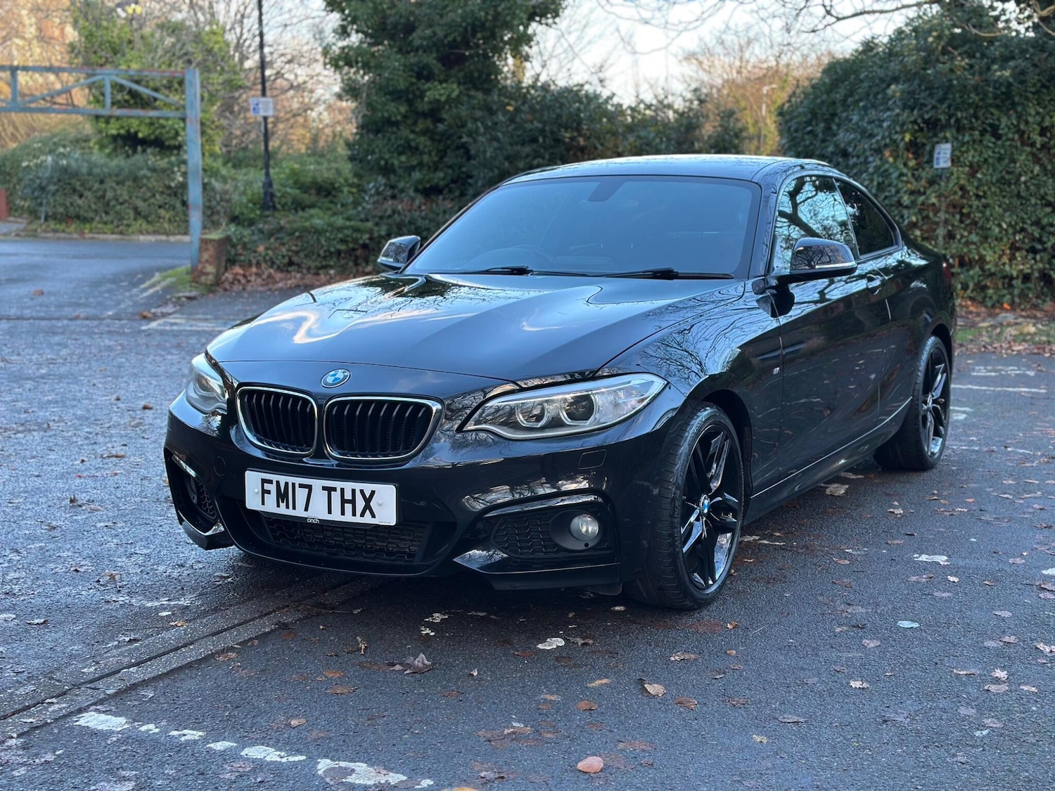 Used BMW 2 Series 2017 for sale - 76926991: Photo 7