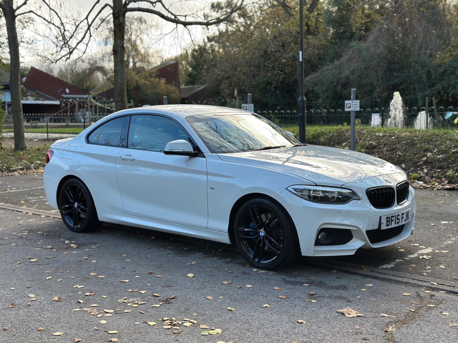 Used BMW 2 Series 2015 for sale - 76645966: Photo 1