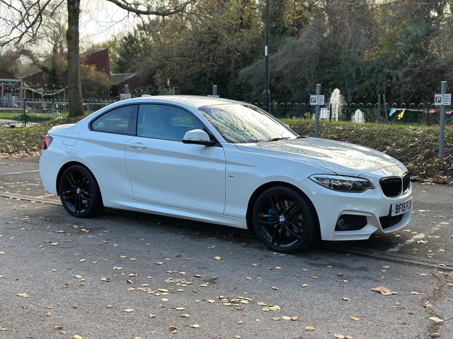 Used BMW 2 Series 2015 for sale - 76645966: Photo 2