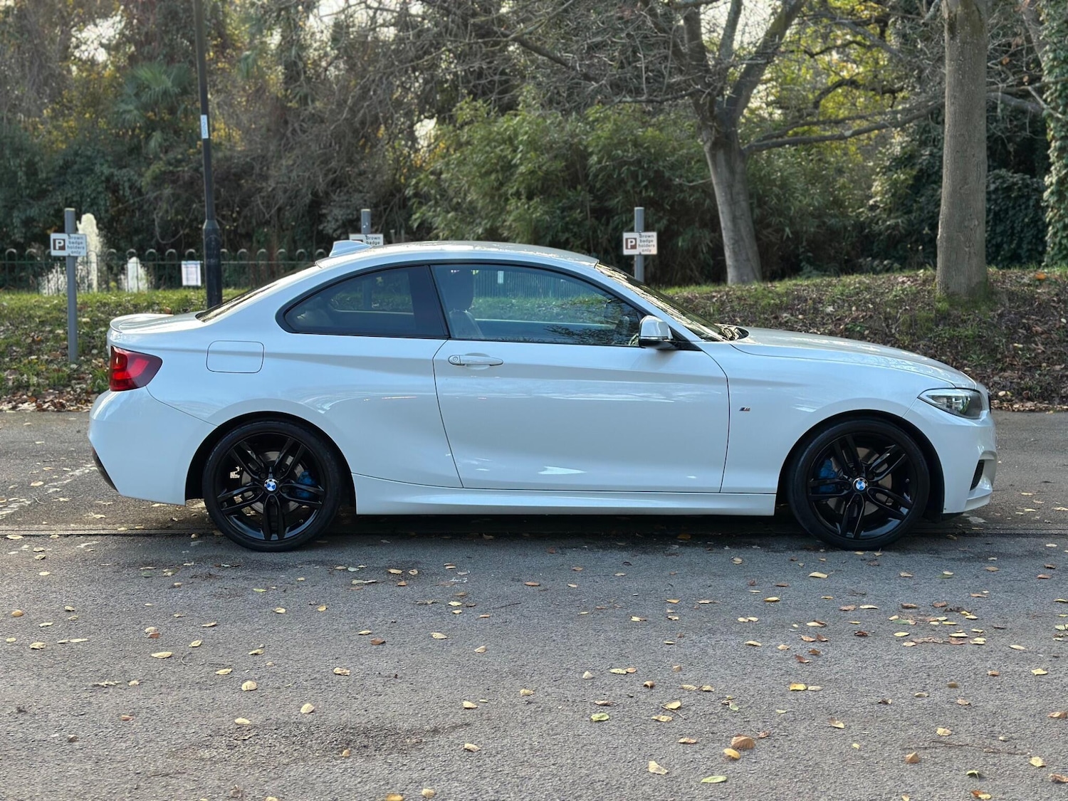 Used BMW 2 Series 2015 for sale - 76645966: Photo 3