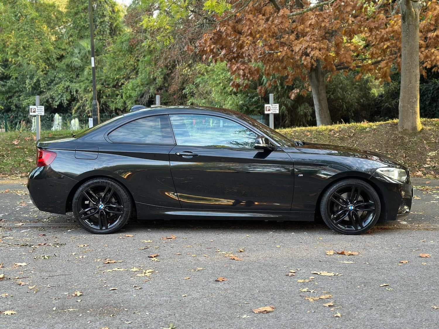 Used BMW 2 Series 2017 for sale - 76295501: Photo 2