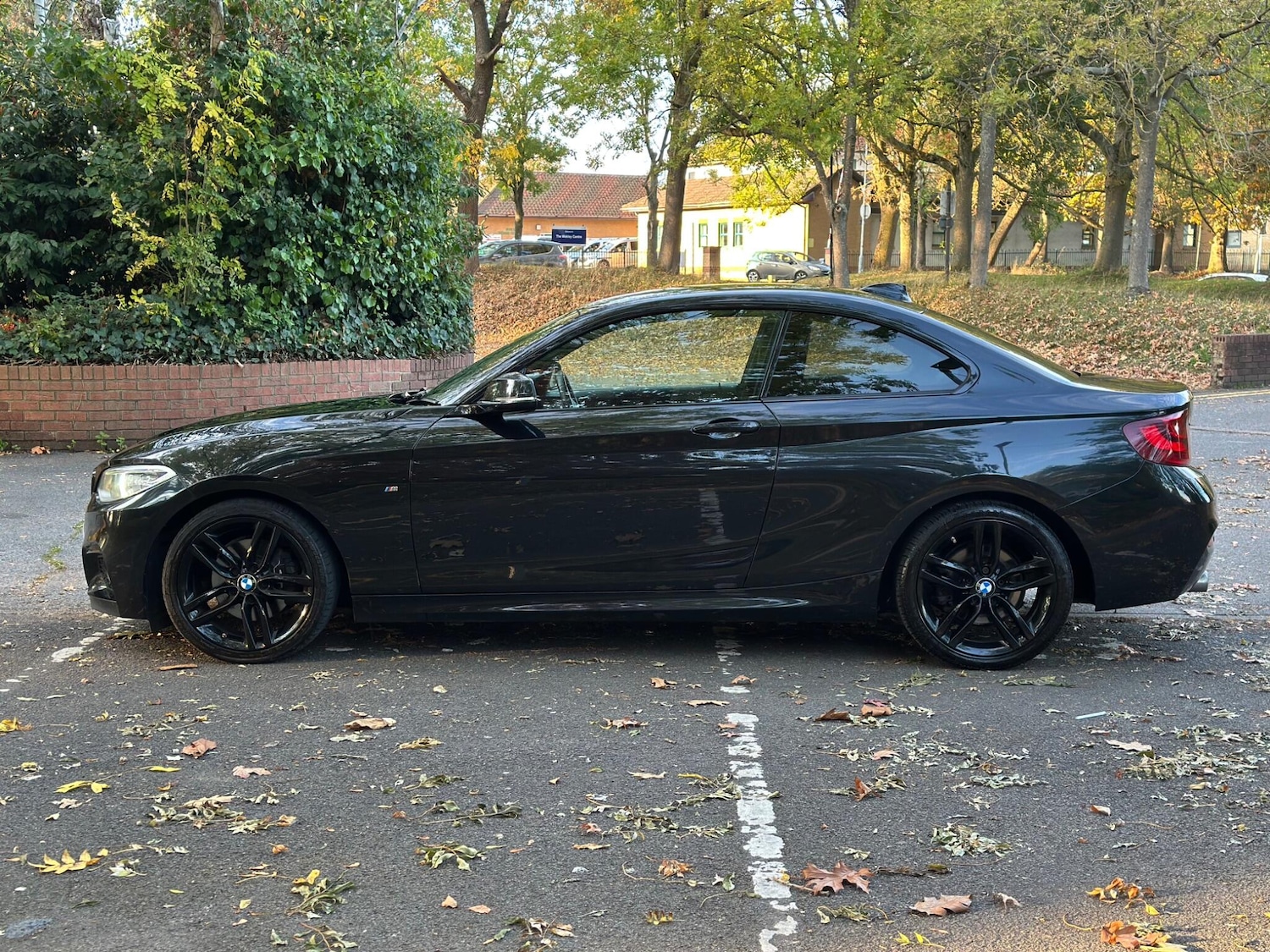 Used BMW 2 Series 2017 for sale - 76295501: Photo 6