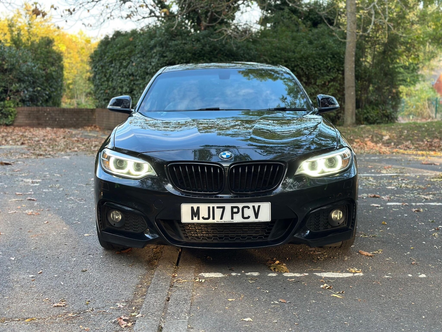 Used BMW 2 Series 2017 for sale - 76295501: Photo 8