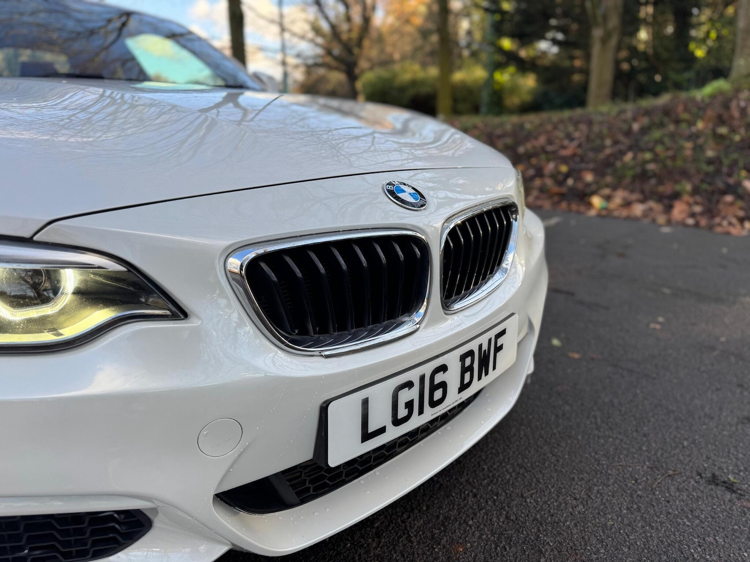 Used BMW 2 Series 2016 for sale - 76913440: Photo 10