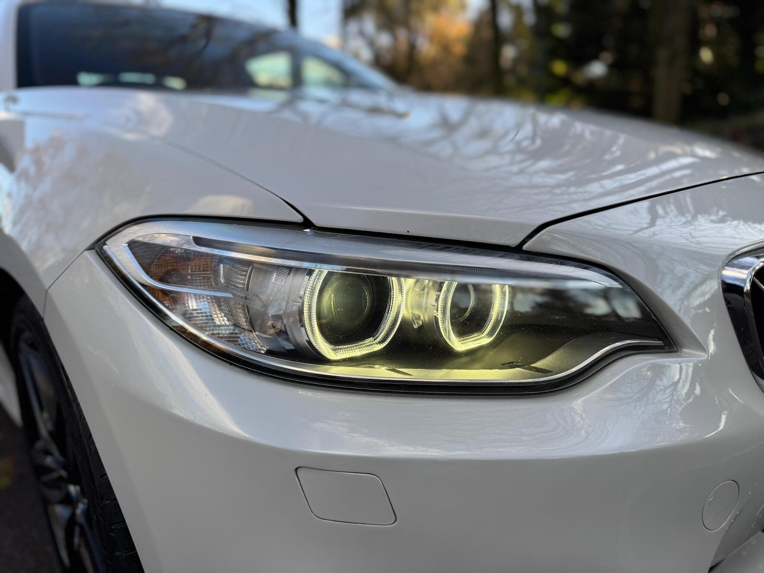 Used BMW 2 Series 2016 for sale - 76913440: Photo 11