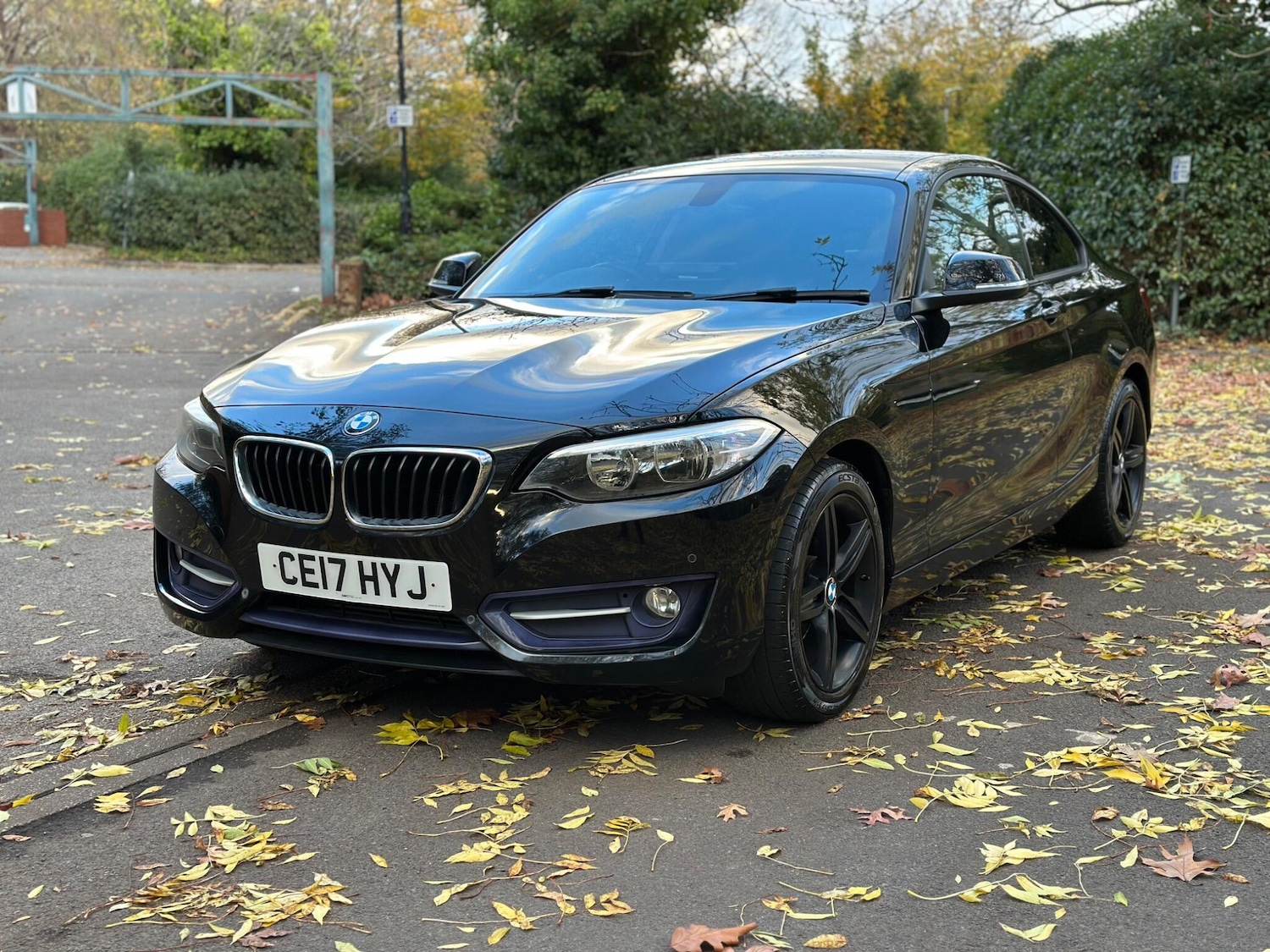 Used BMW 2 Series 2017 for sale - 76399071: Photo 6