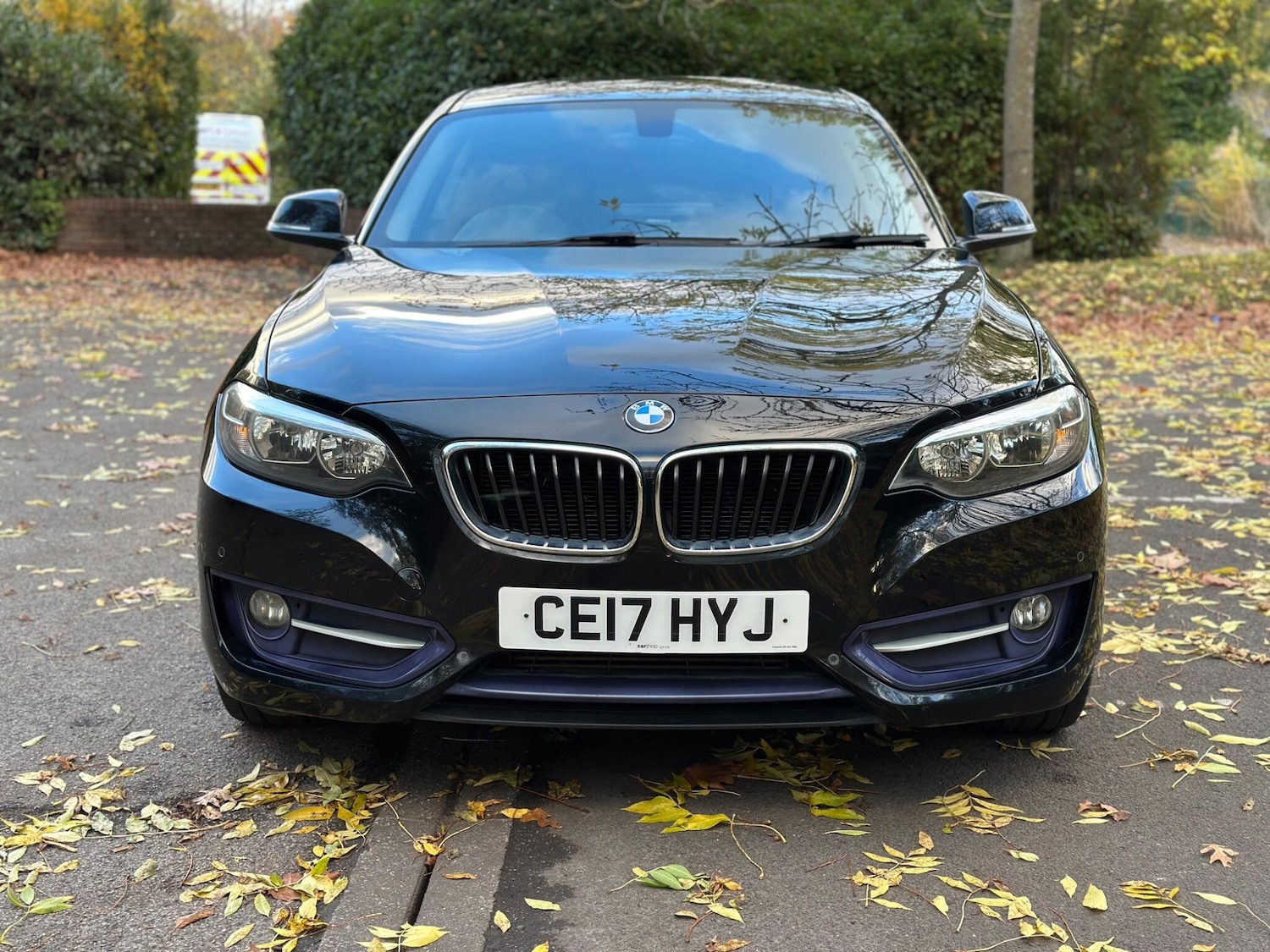 Used BMW 2 Series 2017 for sale - 76399071: Photo 7