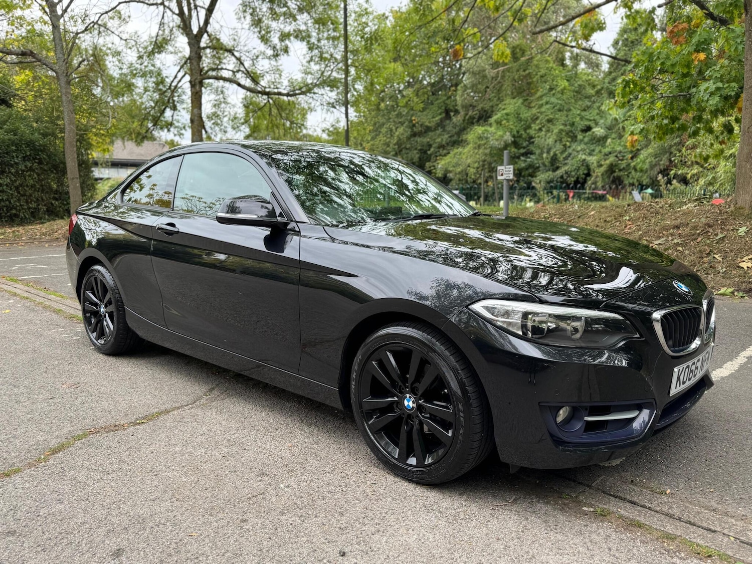 Used BMW 2 Series 2017 for sale - 76138307: Photo 1