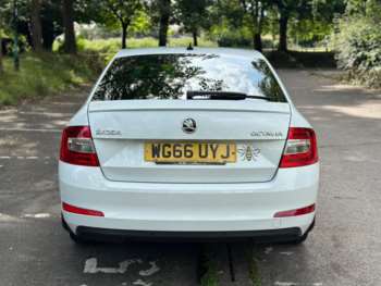 Used Skoda Octavia 2017 for sale - 74048272: Photo