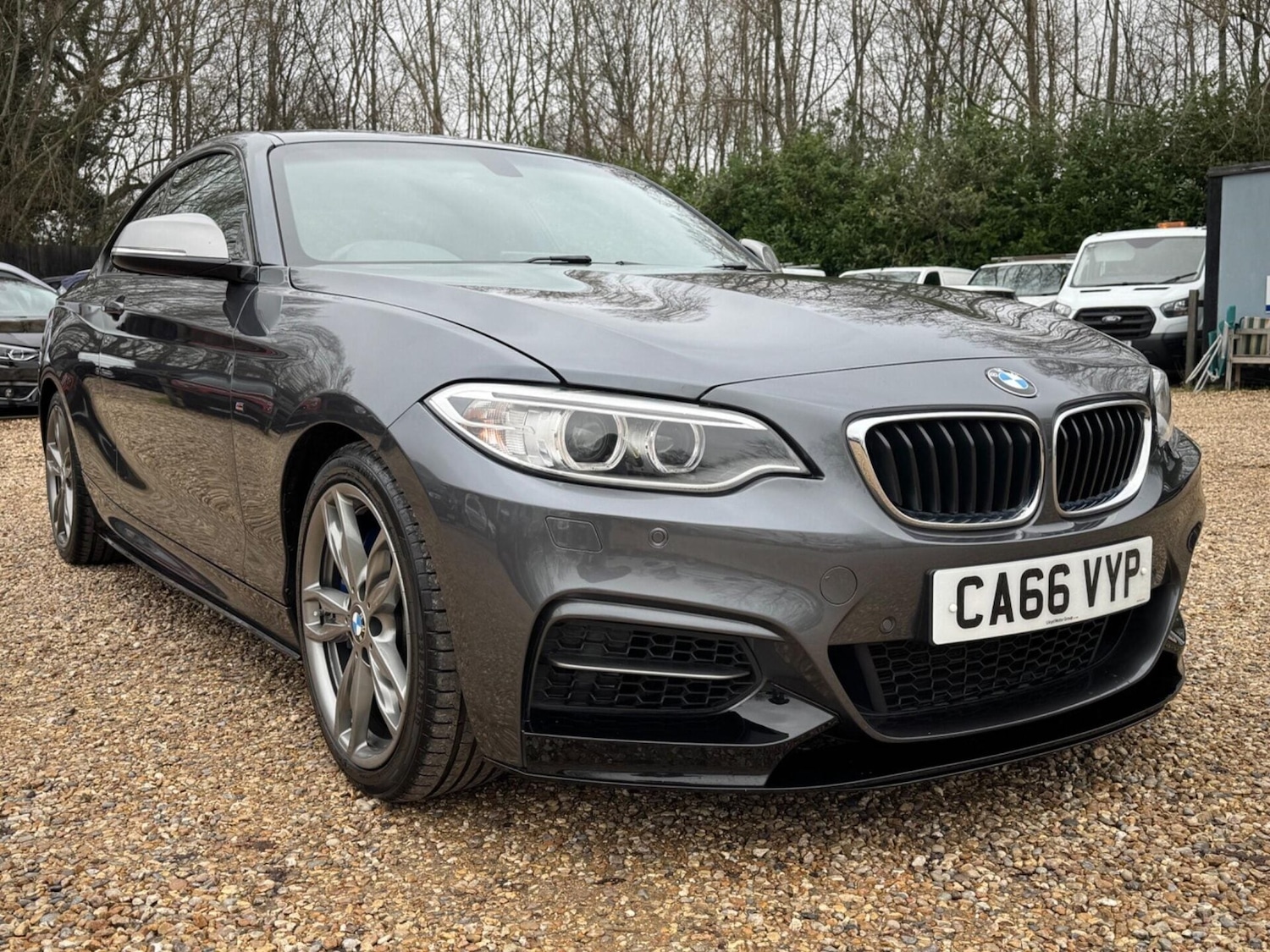 Used BMW 2 Series 2017 for sale - 77112993: Photo 23