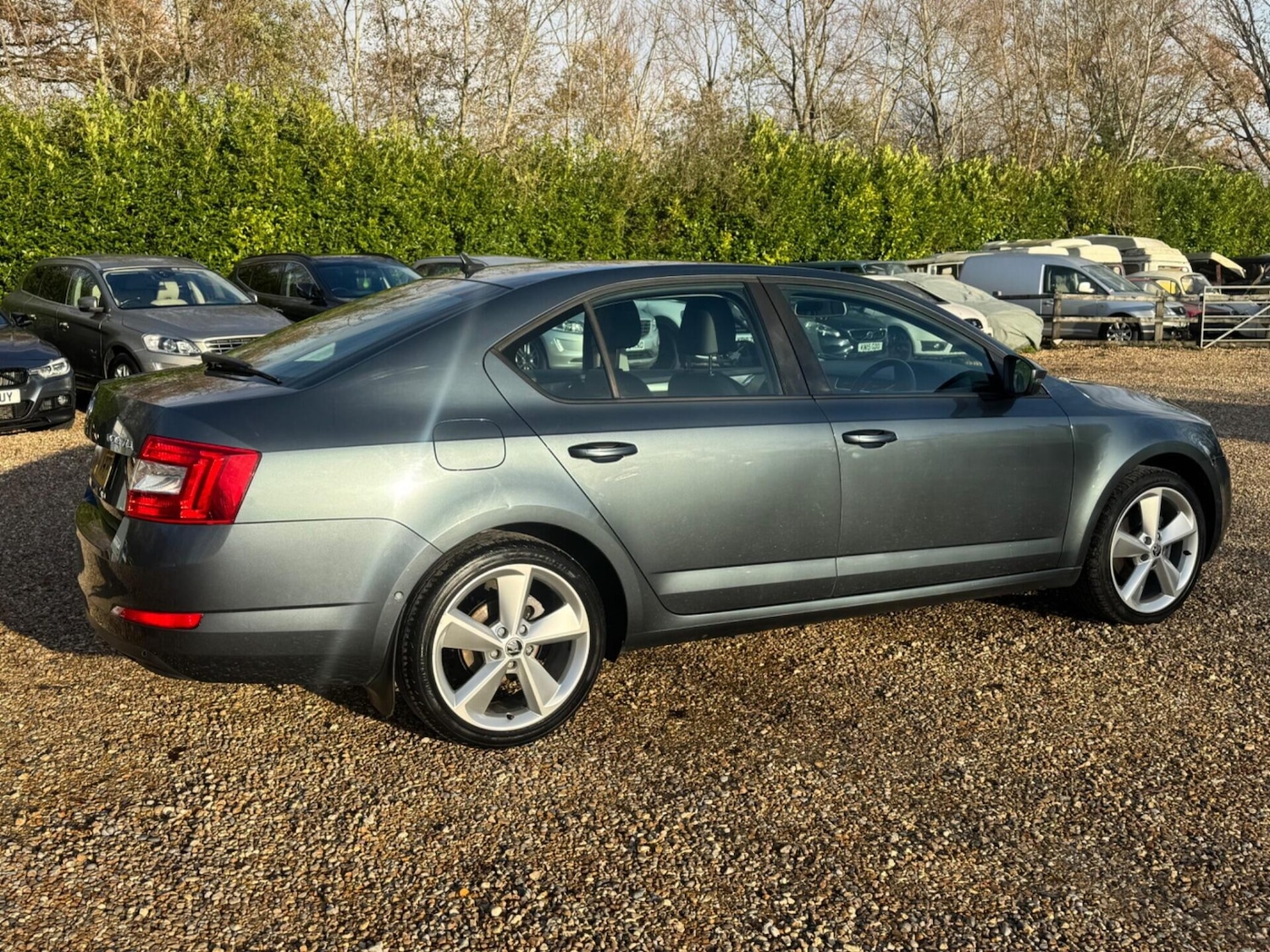 Used Skoda Octavia 2014 for sale - 76847738: Photo 16