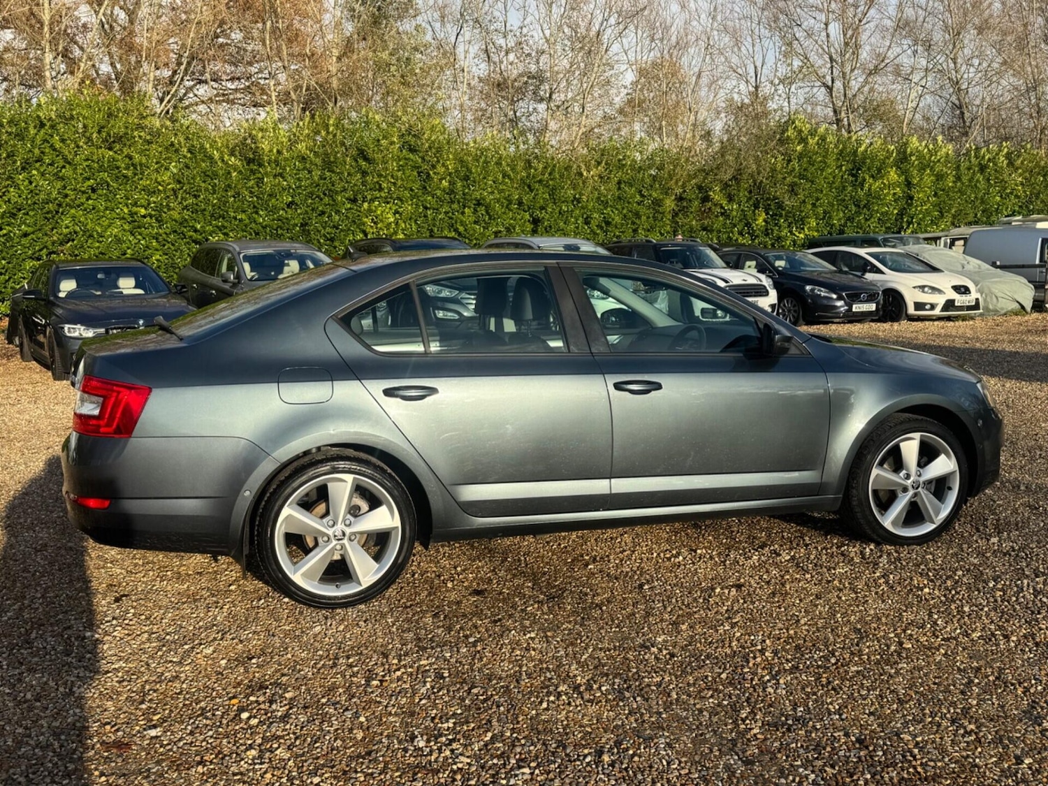 Used Skoda Octavia 2014 for sale - 76847738: Photo 17