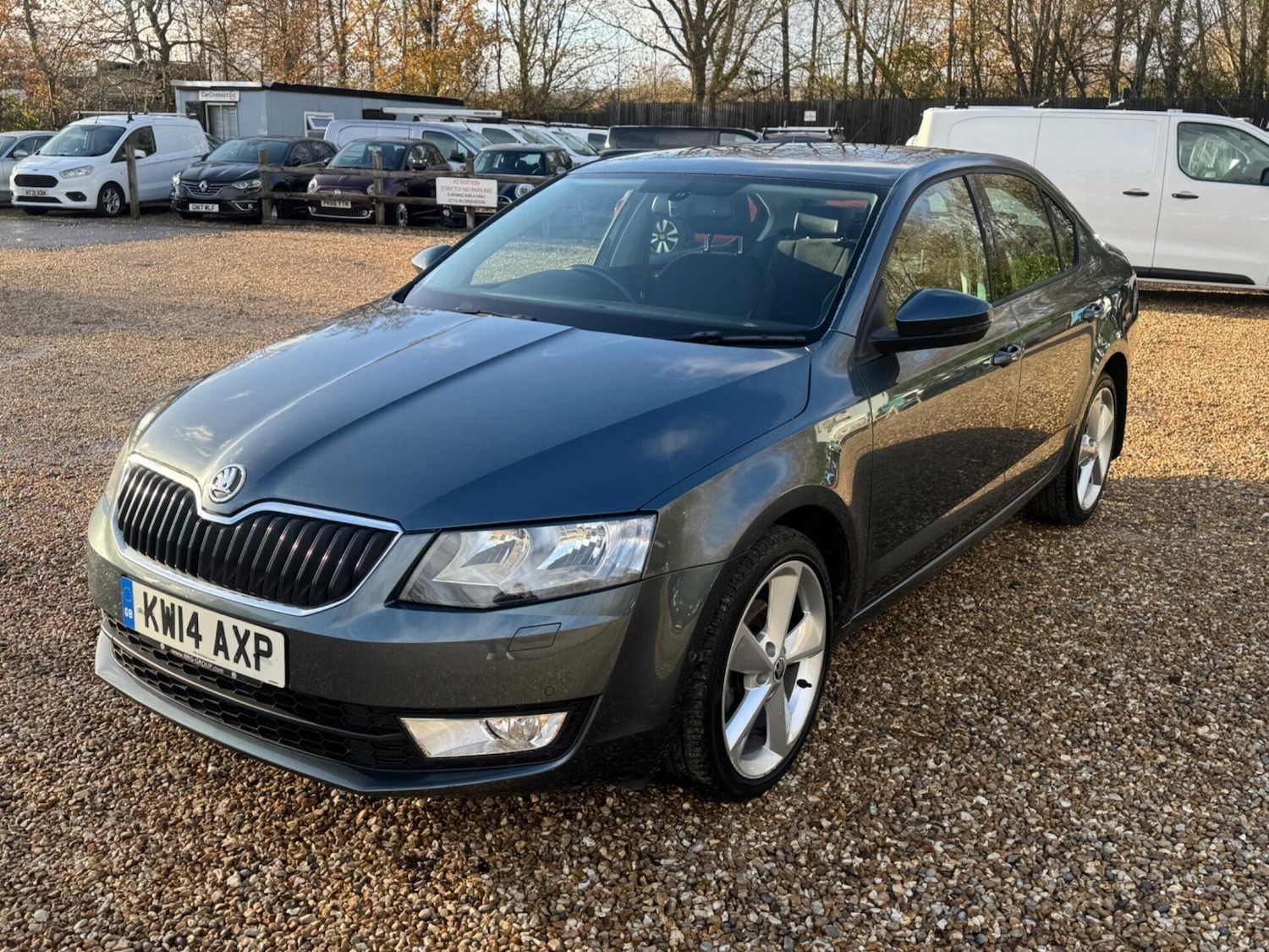 Used Skoda Octavia 2014 for sale - 76847738: Photo 5