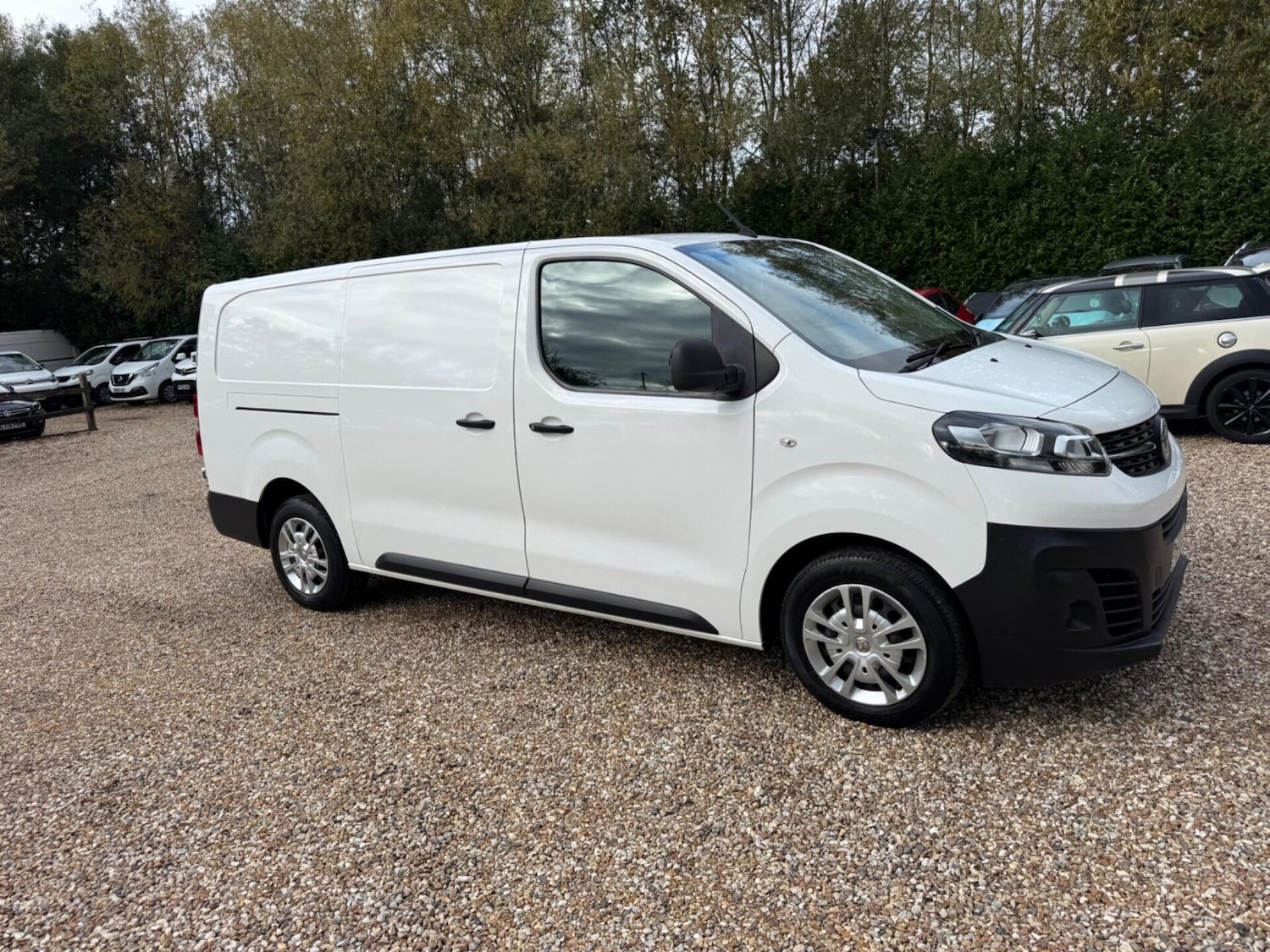 Used Vauxhall Vivaro 2020 for sale - 76334347: Photo 36