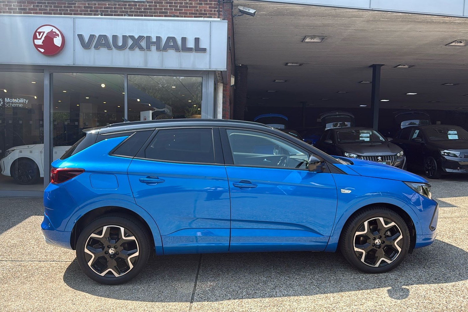 Vehicle 6