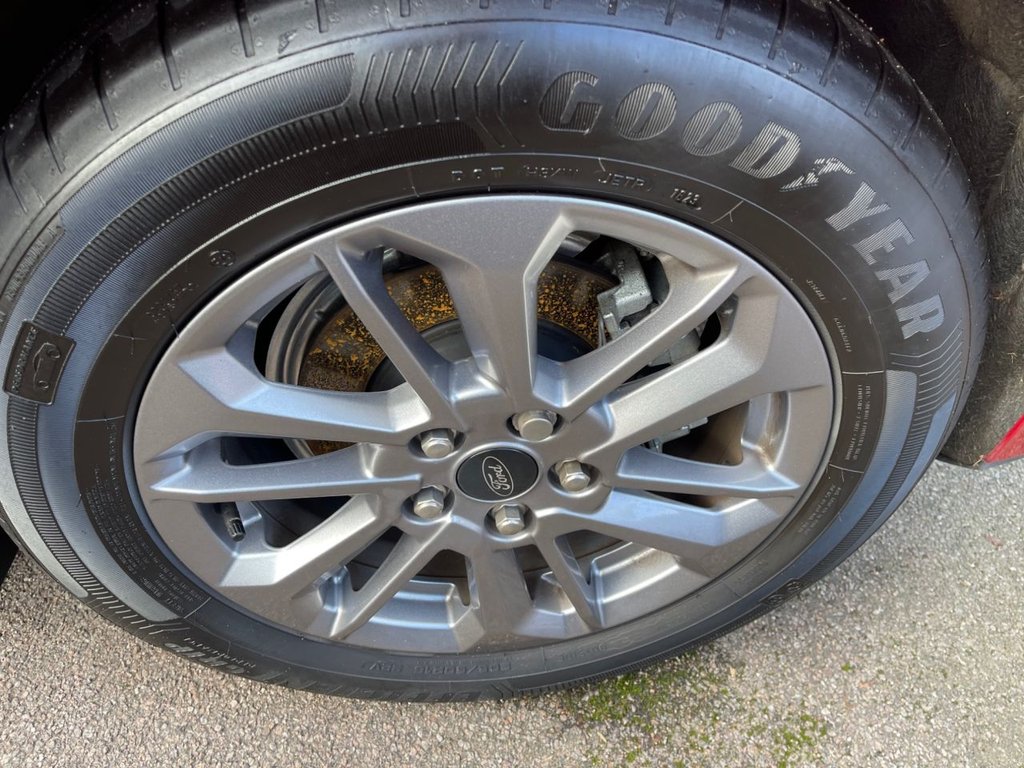 Used Ford Focus 2023 for sale - 76618032: Photo 11