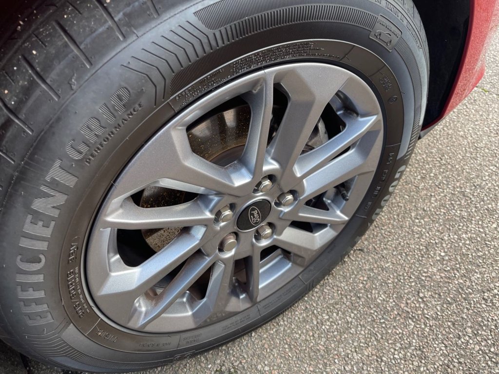 Used Ford Focus 2023 for sale - 76618032: Photo 12