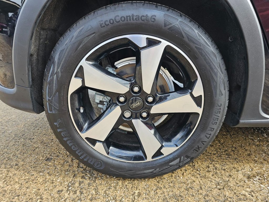 Used Ford Focus 2023 for sale - 76617312: Photo 11