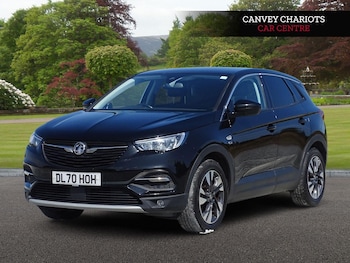 Used Vauxhall Grandland X 2020 for sale - 78946976: Photo