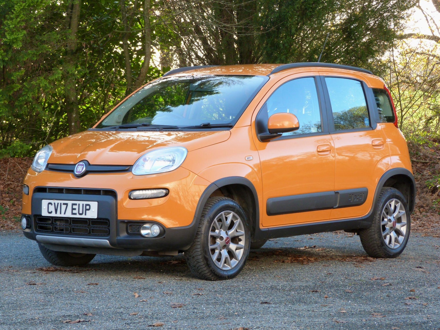 Used Fiat Panda 2017 for sale - 76604298: Photo 1