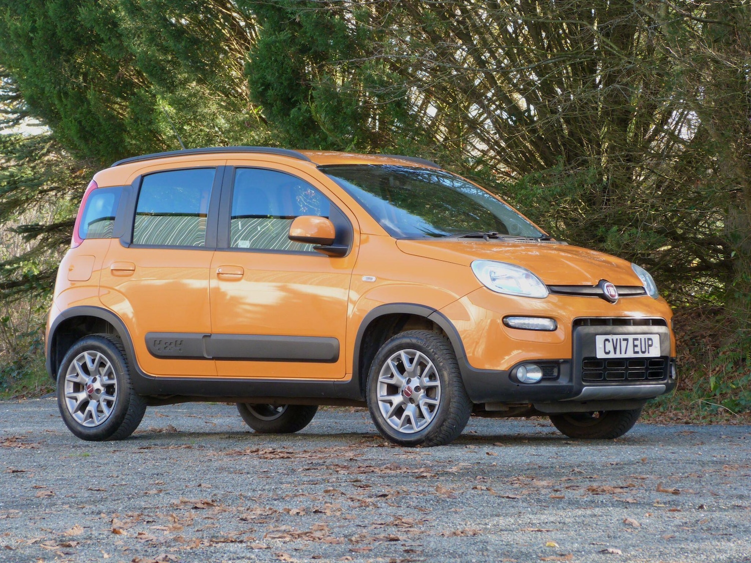 Used Fiat Panda 2017 for sale - 76604298: Photo 2