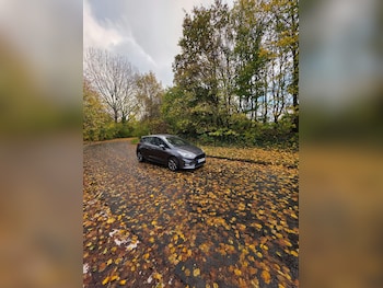 Used Ford Fiesta 2019 for sale - 77271517: Photo