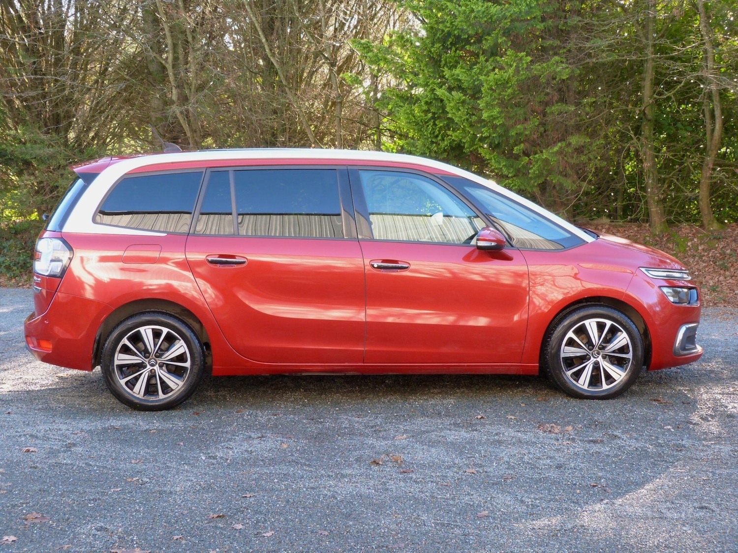 Used Citroen C4 Grand Picasso 2017 for sale - 76217656: Photo 6