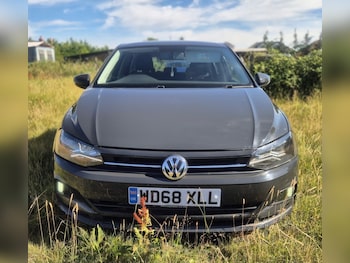 Used Volkswagen Polo 2019 for sale - 79260931: Photo