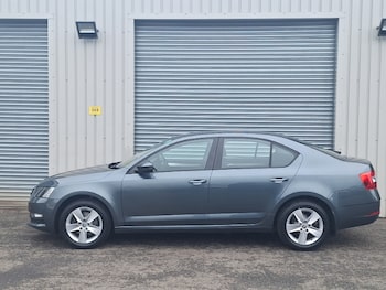 Used Skoda Octavia 2018 for sale - 79031447: Photo