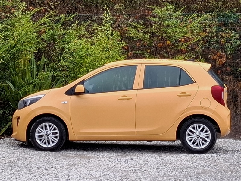 Used Kia Picanto 2023 for sale - 76860253: Photo 4