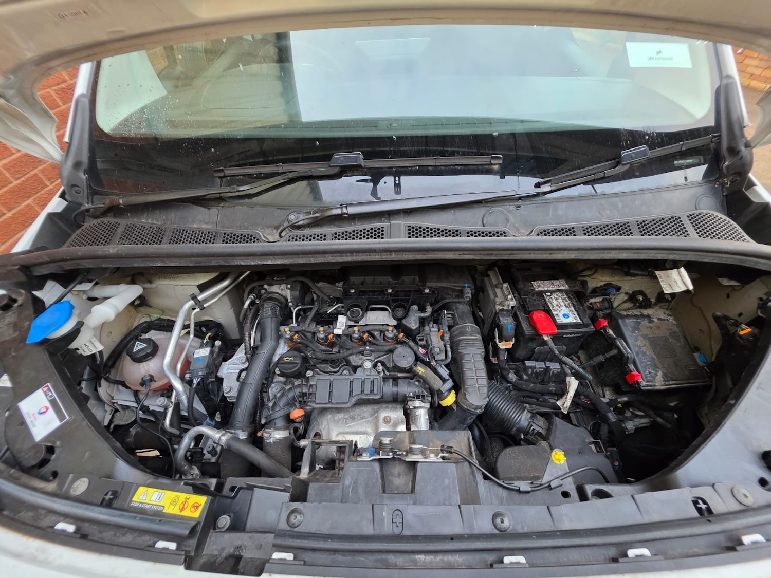 Used Citroen Berlingo 2023 for sale - 76397266: Photo 17