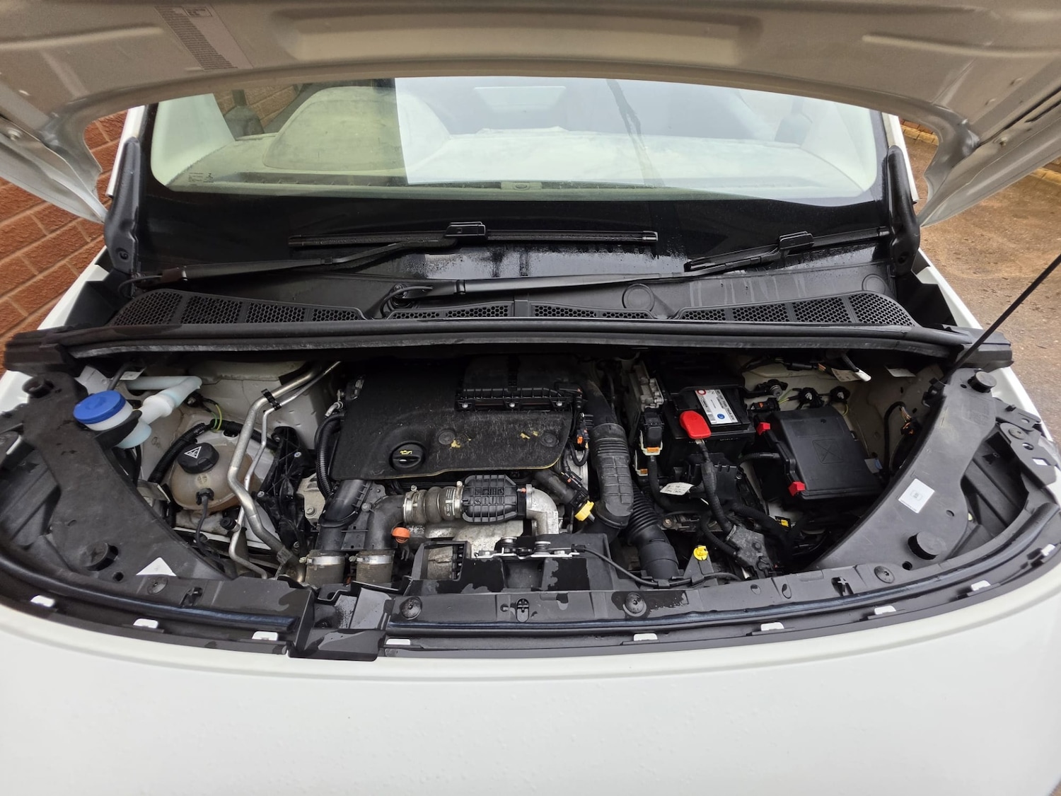 Used Peugeot Partner 2019 for sale - 76594517: Photo 12