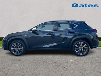 Used Lexus UX 2023 for sale - 77841546: Photo