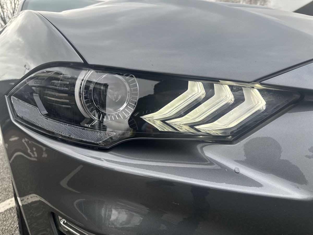 Used Ford Mustang 2022 for sale - 77461711: Photo 32