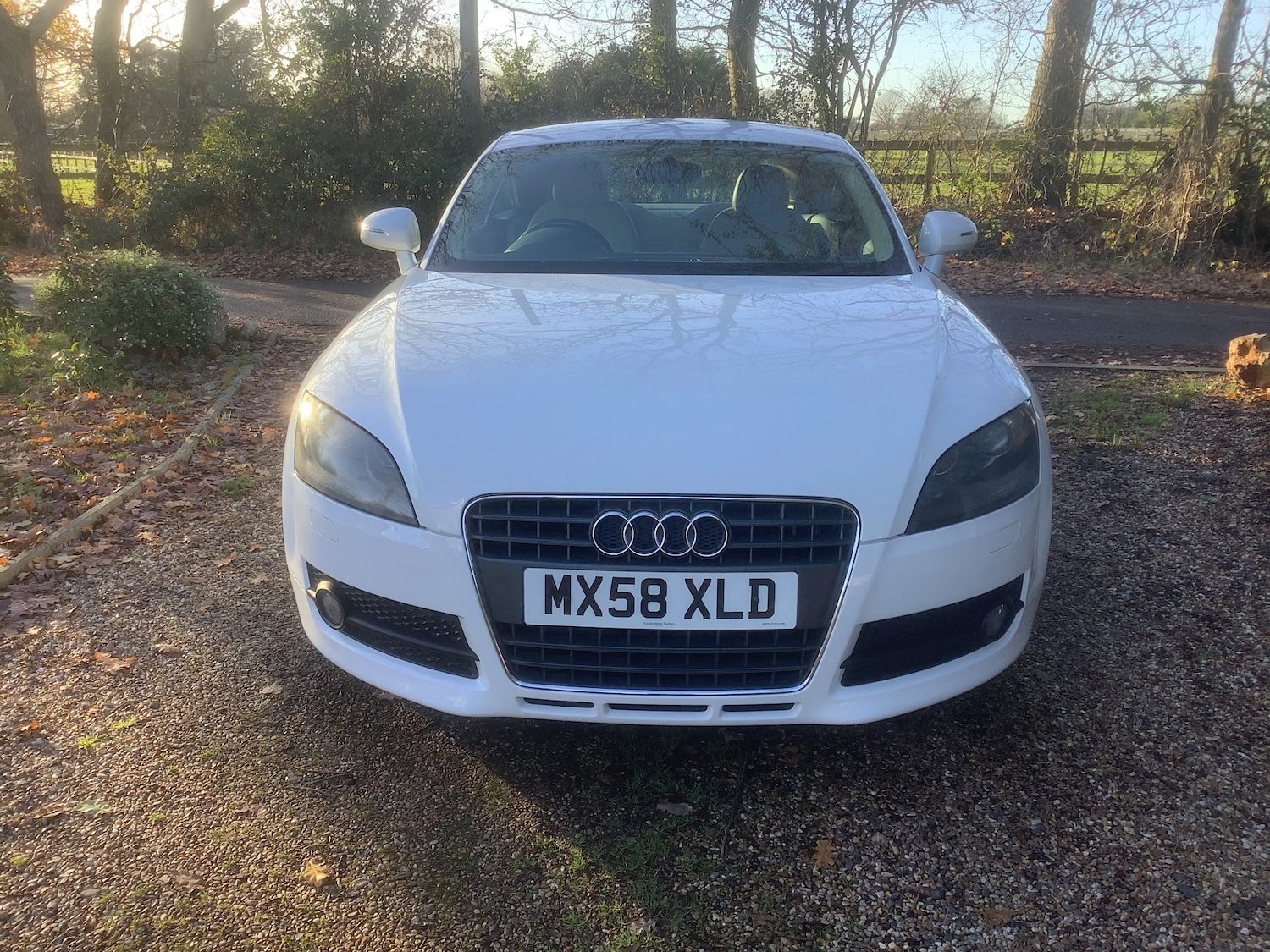 Used Audi TT 2008 for sale - 77618427: Photo 2