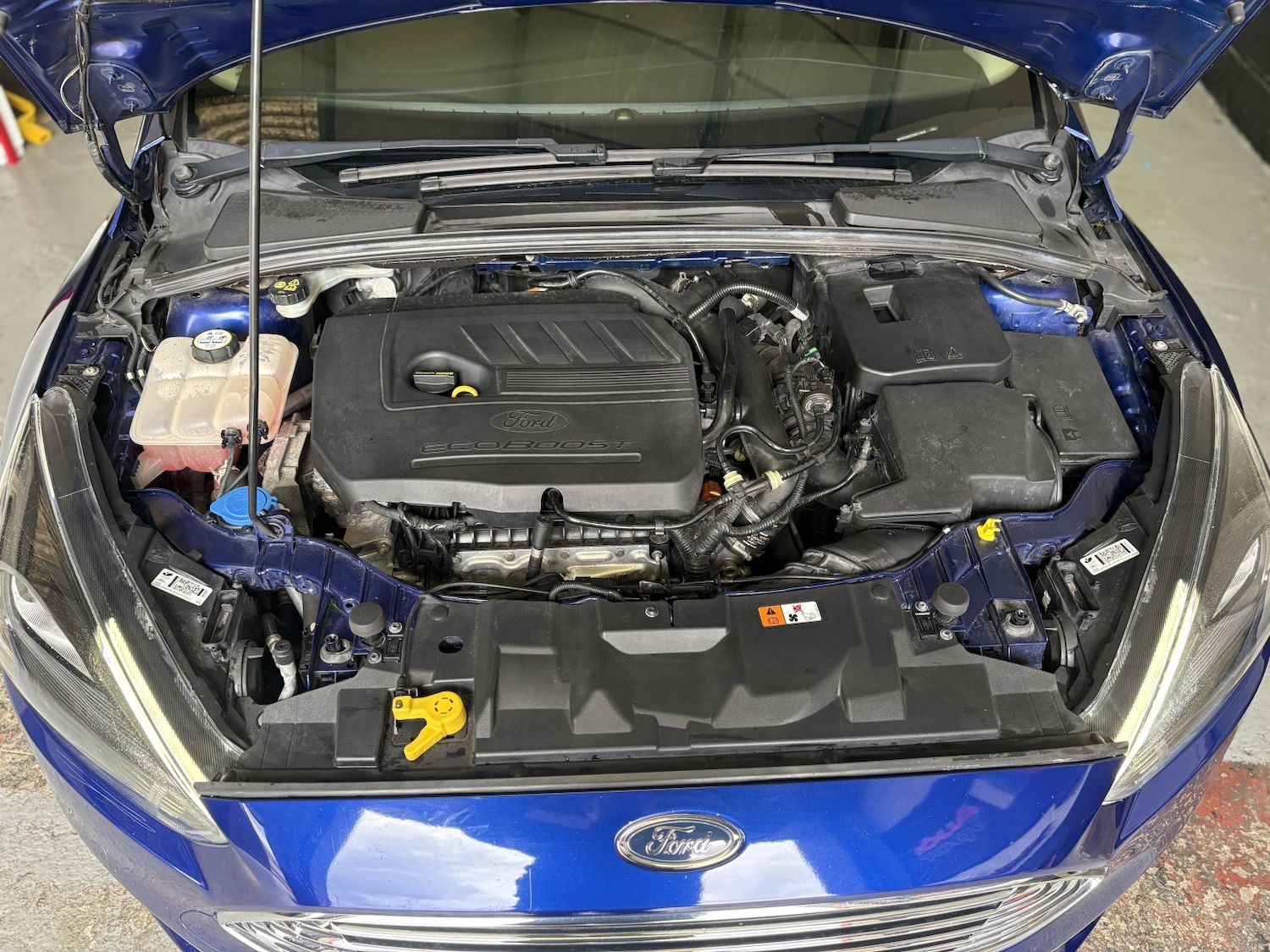 Used Ford Focus 2015 for sale - 78131621: Photo 16