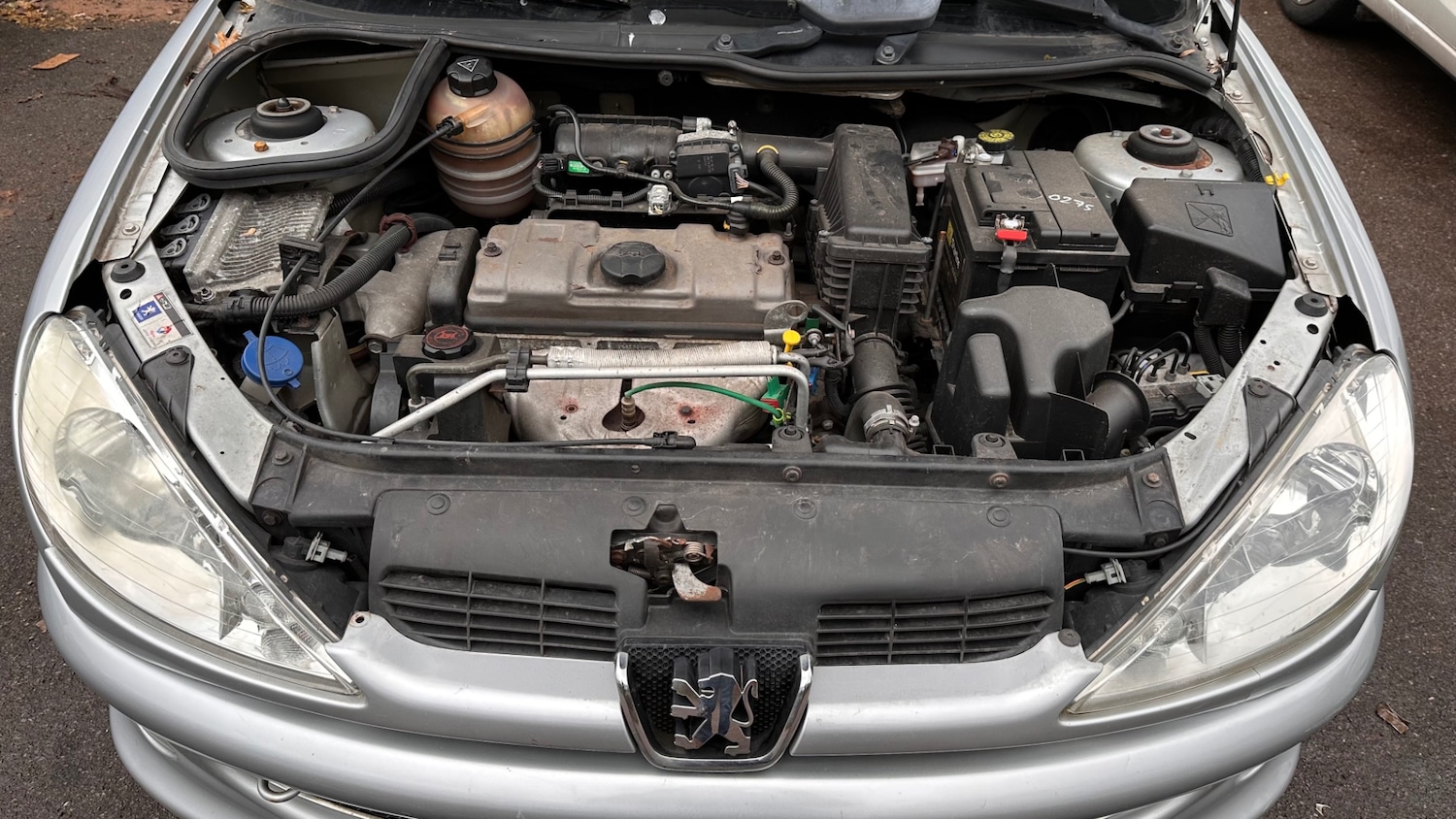 Used Peugeot 206 2009 for sale - 77019436: Photo 18