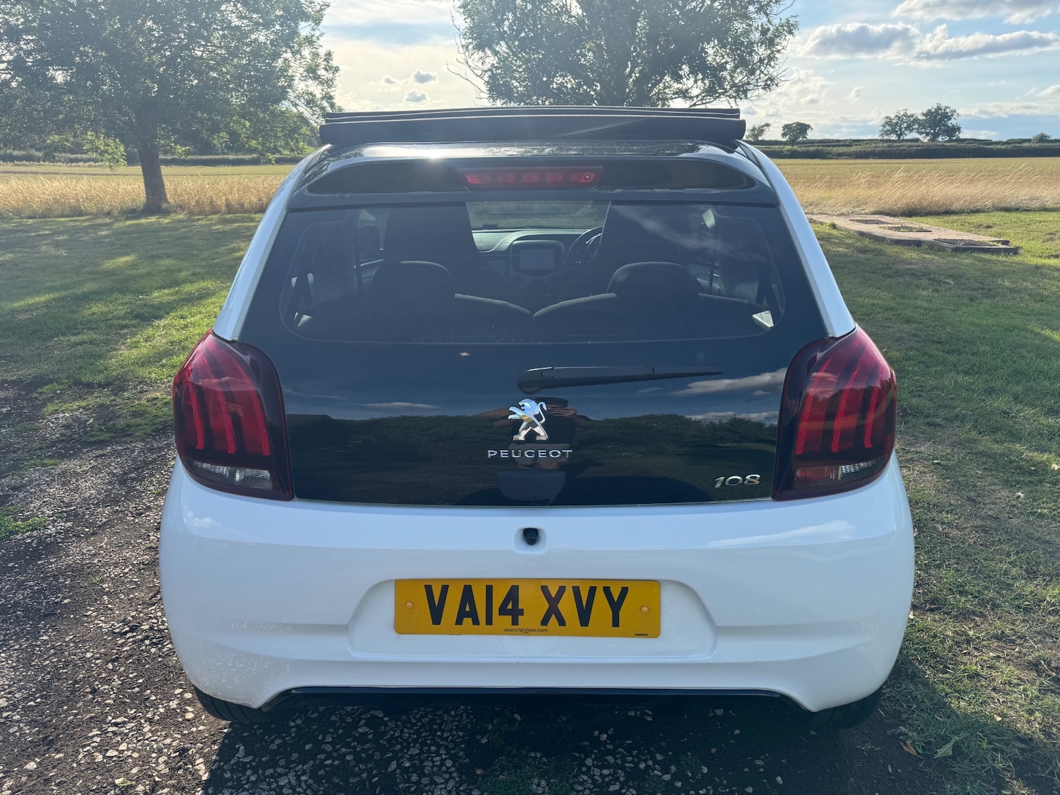 Vehicle 4