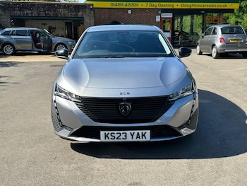 Used Peugeot 308 2023 for sale - 79142407: Photo