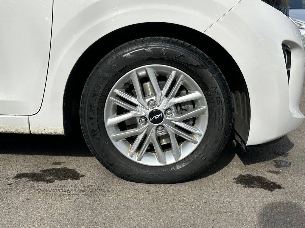 Used Kia Picanto 2023 for sale - 78200876: Photo 10