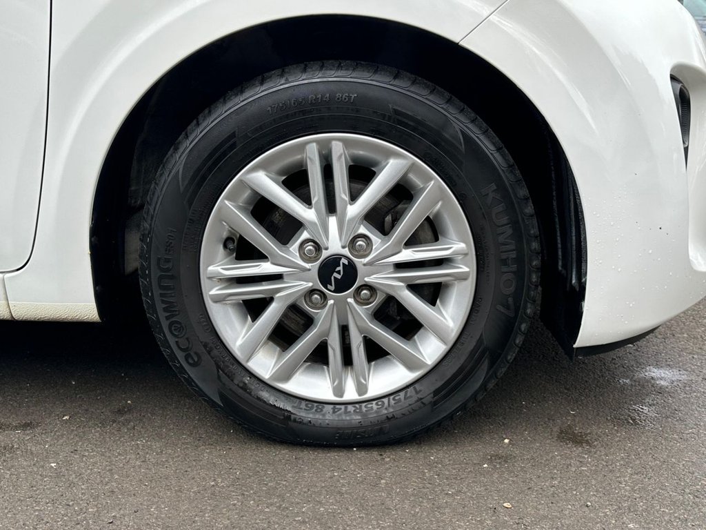 Used Kia Picanto 2023 for sale - 77821099: Photo 9