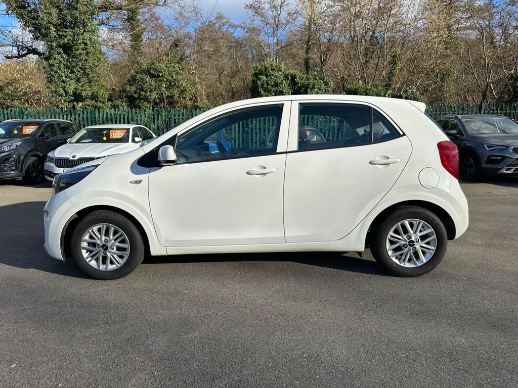 Used Kia Picanto 2023 for sale - 77655361: Photo 5