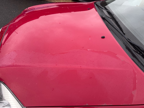 Used Toyota Avensis 2004 for sale - 76157406: Photo 15