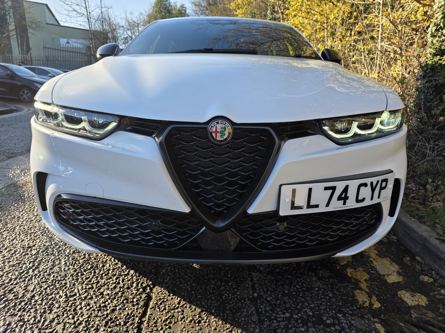 Used Alfa Romeo Tonale 2024 for sale - 76750043: Photo 13