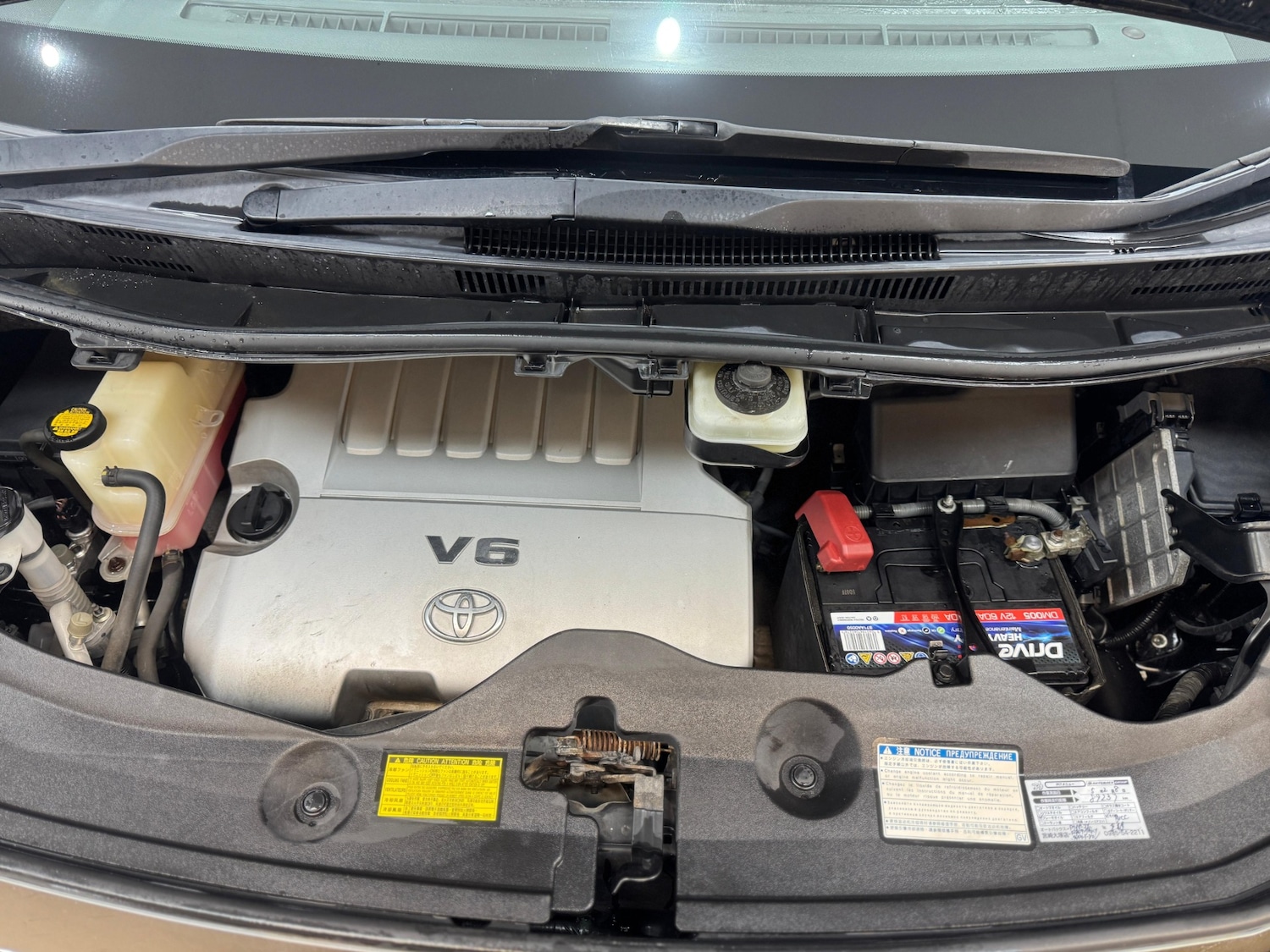 Used Toyota Estima 2026 for sale - 77632690: Photo 42