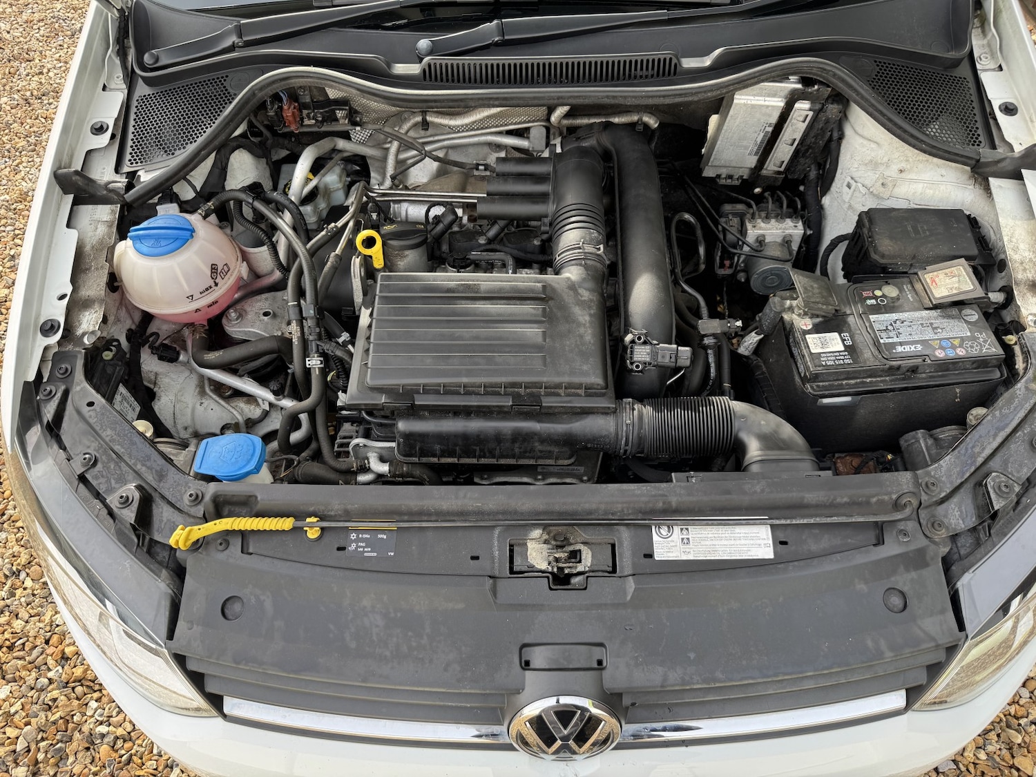 Used Volkswagen Polo 2016 for sale - 77541662: Photo 21