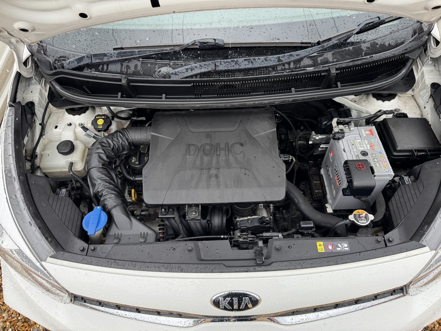 Used Kia Picanto 2017 for sale - 77228253: Photo 22